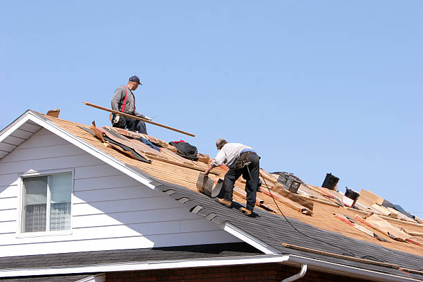 Best Metal Roofing Installation  in Paynesville, MN